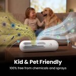 Ozoori image