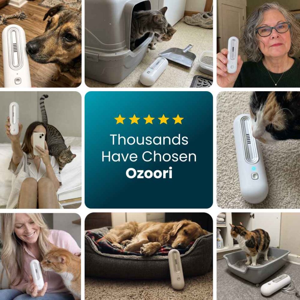 Ozoori image